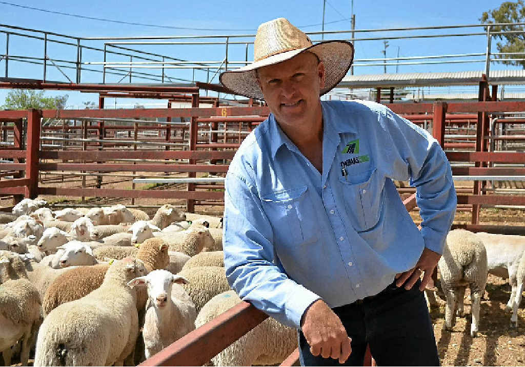 FUTURE FOCUS: Andrew Jackson is encouraging local prime lamb producers to become MSA-accreditated. FUTURE FOCUS: Andrew Jackson is encouraging local prime lamb producers to become MSA-accreditated.